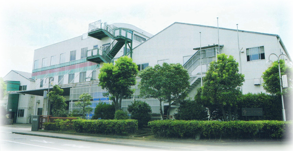 Head office