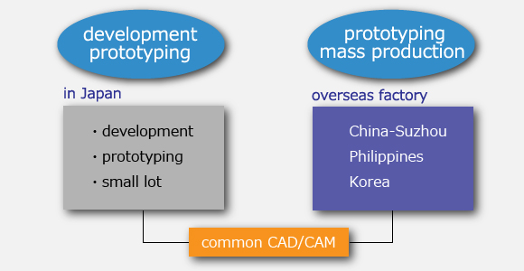 domestic and overseas development