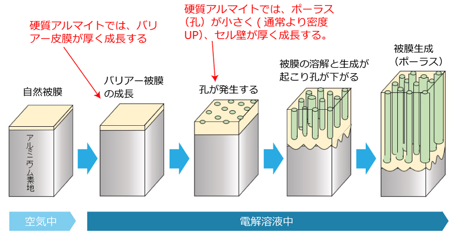 アルマイト皮膜の生成過程について