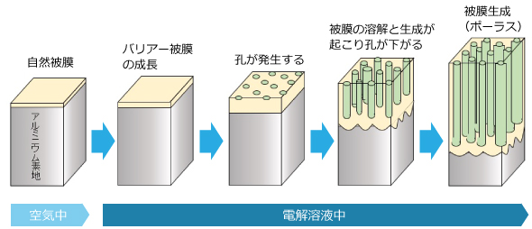 アルマイト被膜の生成過程